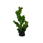 ΔΙΑΚΟΣΜΗΤΙΚΟ ΕΝΥΔΡΕΙΟΥ ΜΠΛΕ-ΠΡΑΣΙΝΟ 5ΤΜΧ 7.5CM